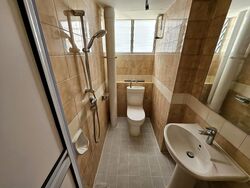 Dunearn Road (D11), Condominium #459823281